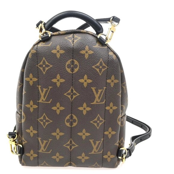 LOUIS VUITTON Palm Spring PM Backpack Bag Monogram Leather Brown M41560 27ZA122 main image 14